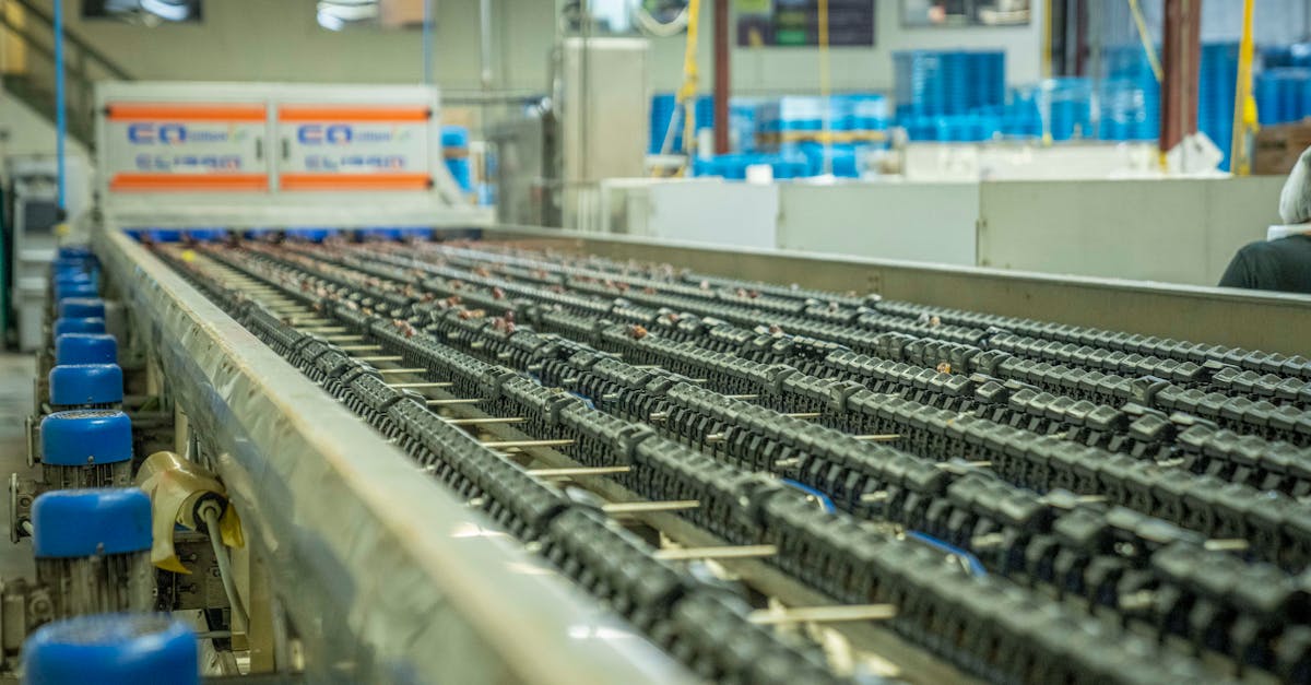 Iterator in Java: How to Loop Through Collections